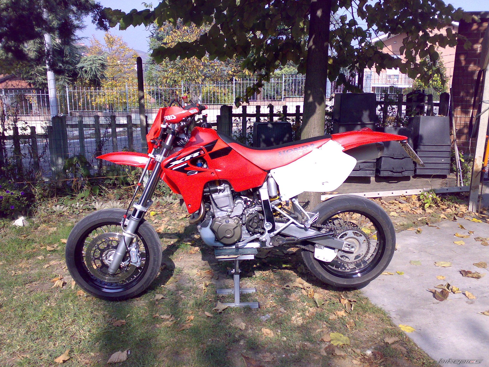 Bike Photo 1448904
