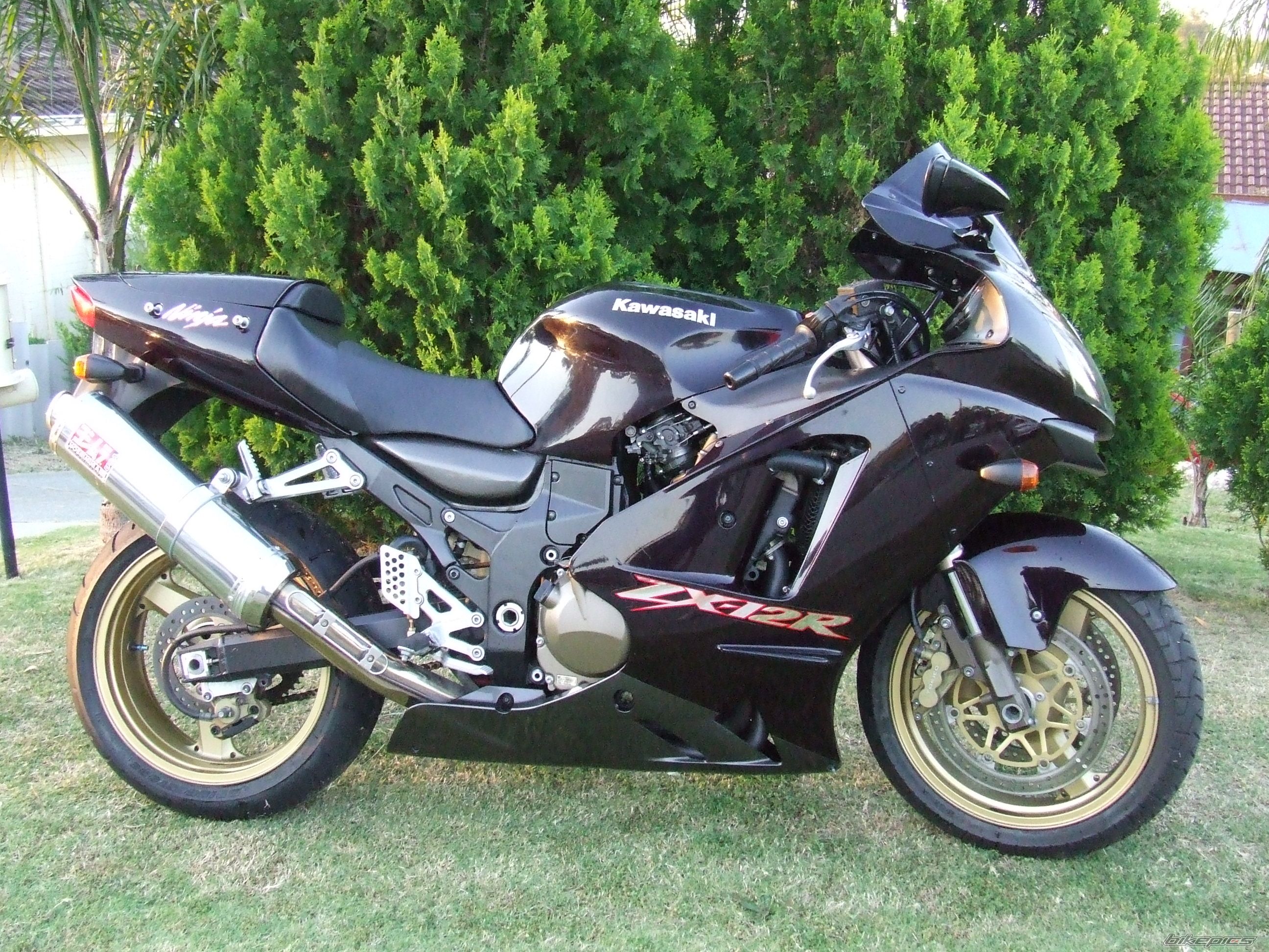 Bike Photo 1448925