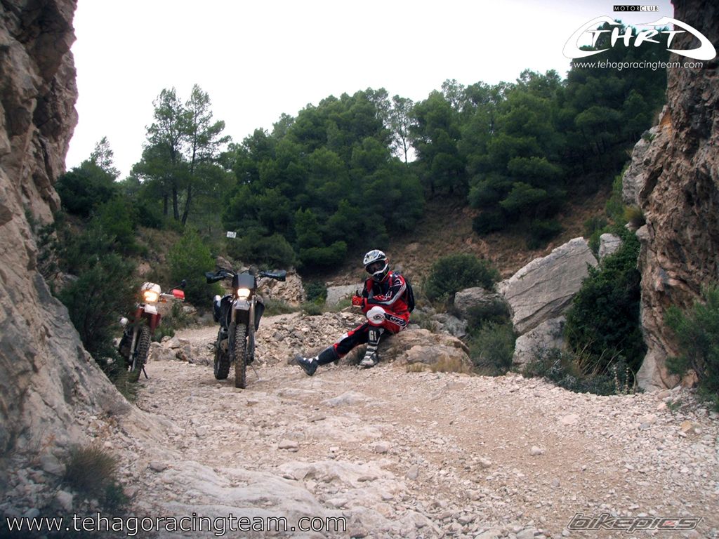 Photo 1448934