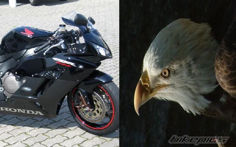 Bike Photo 1448936