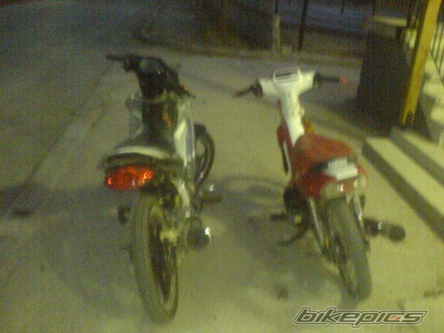 Photo 1448986