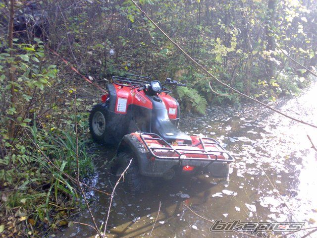 Photo 1449082