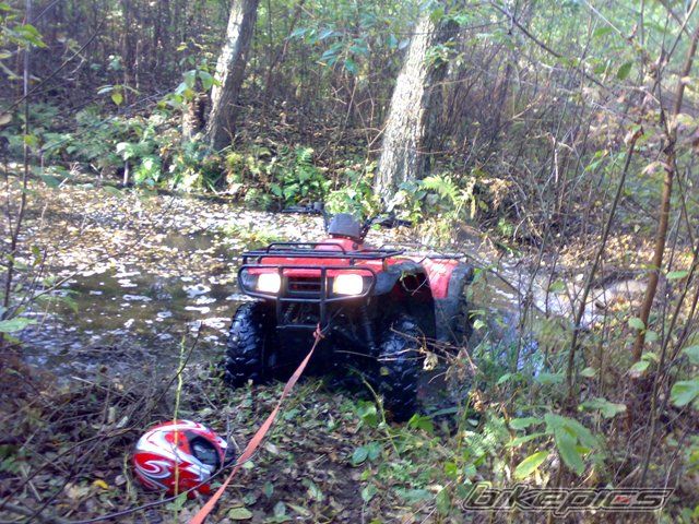 Photo 1449084
