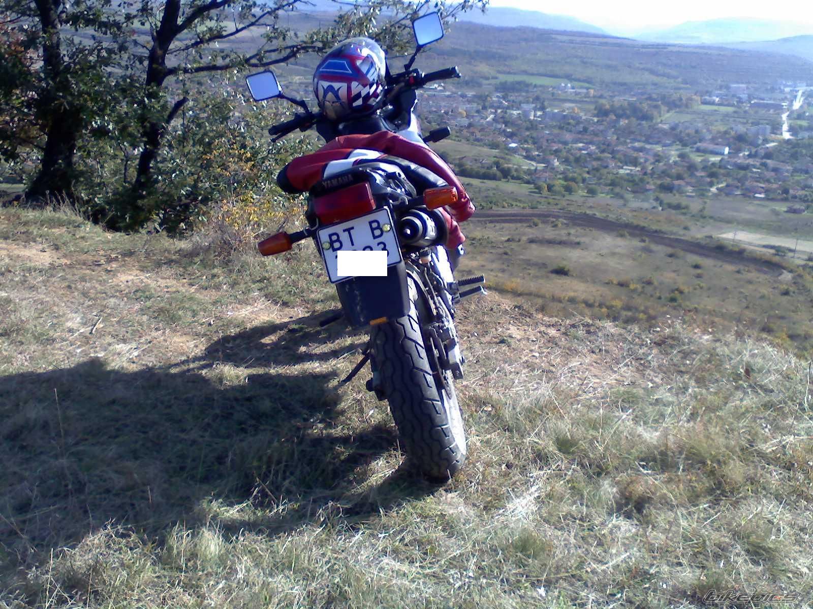 Photo 1449146