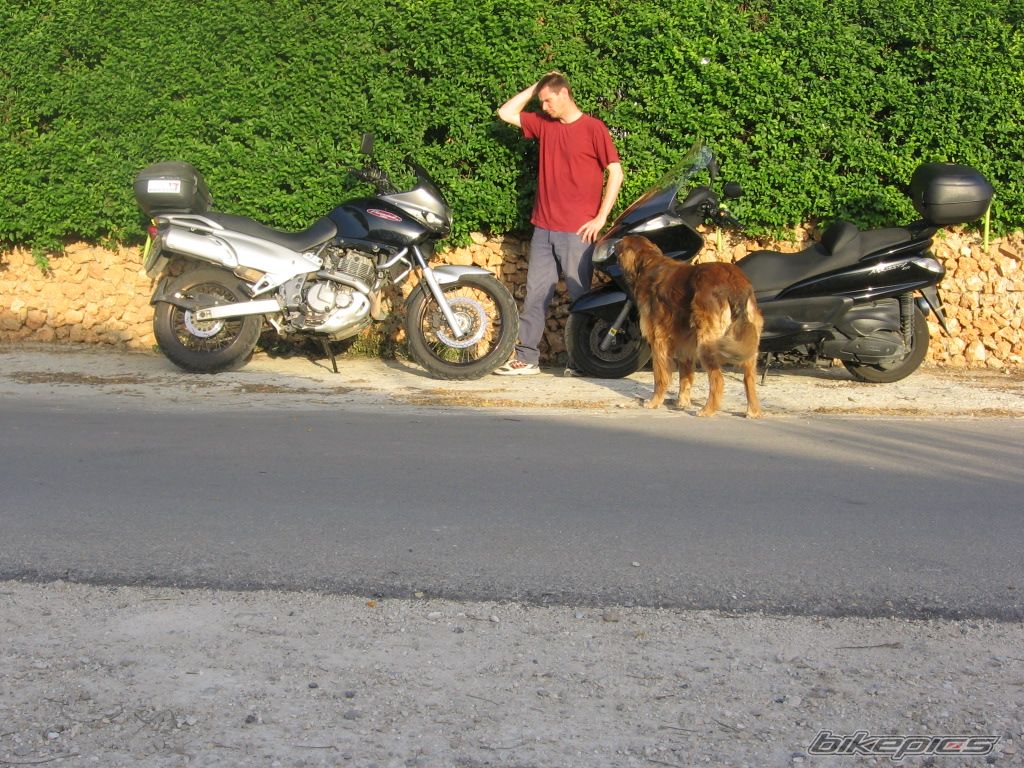 Photo 1449222