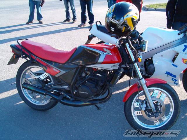 Photo 144923
