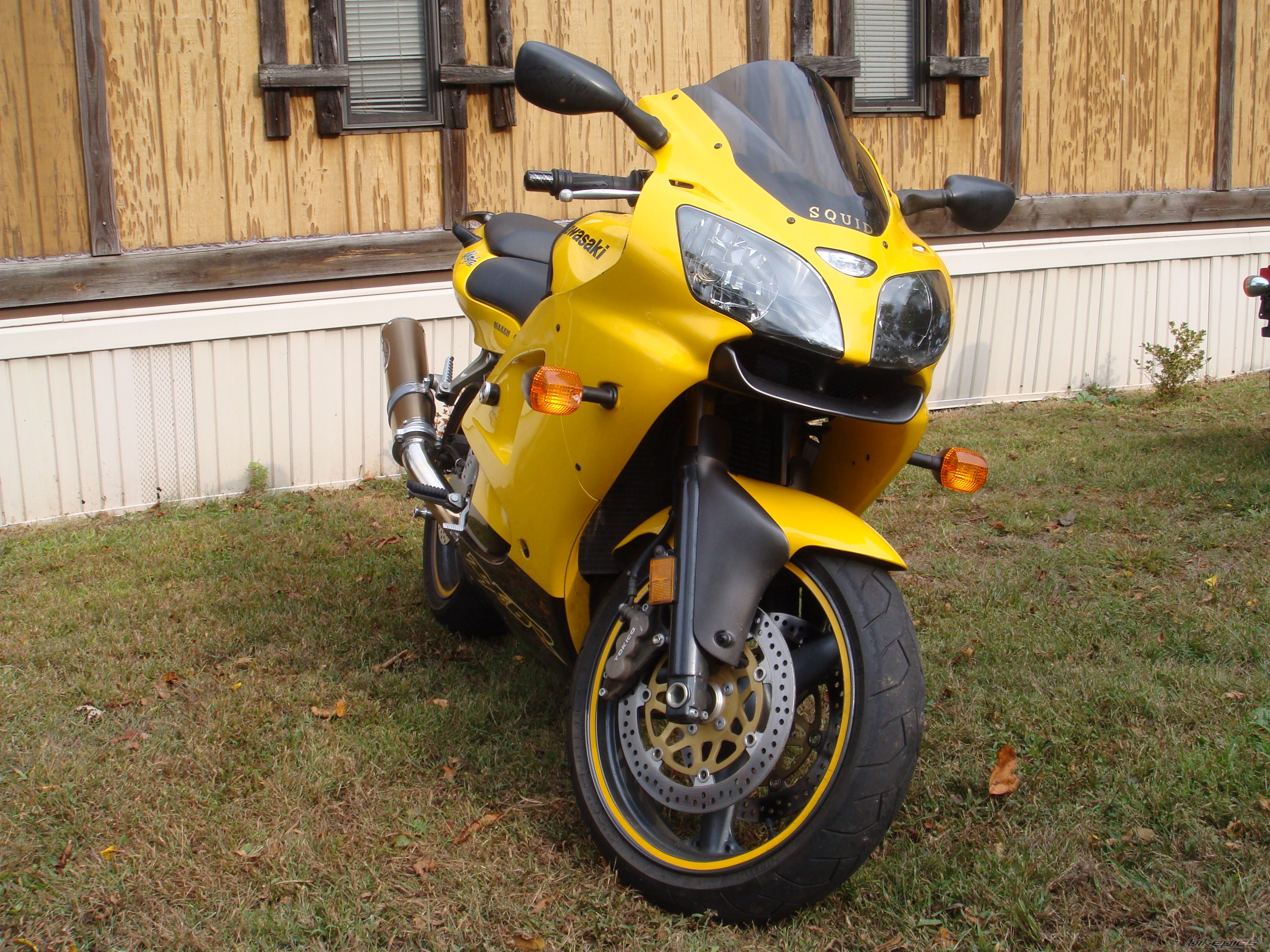 Photo 1449232