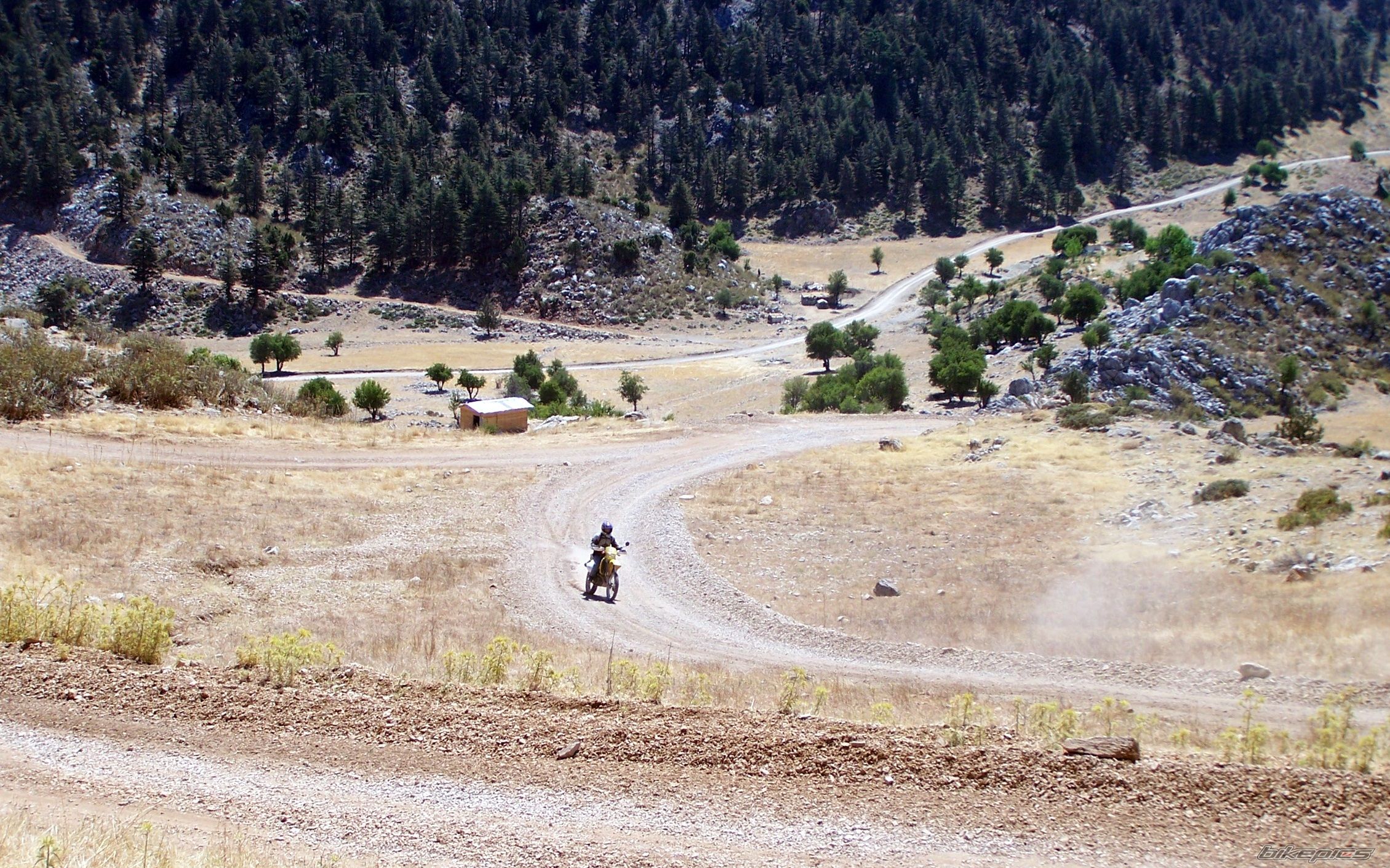 Bike Photo 1449253