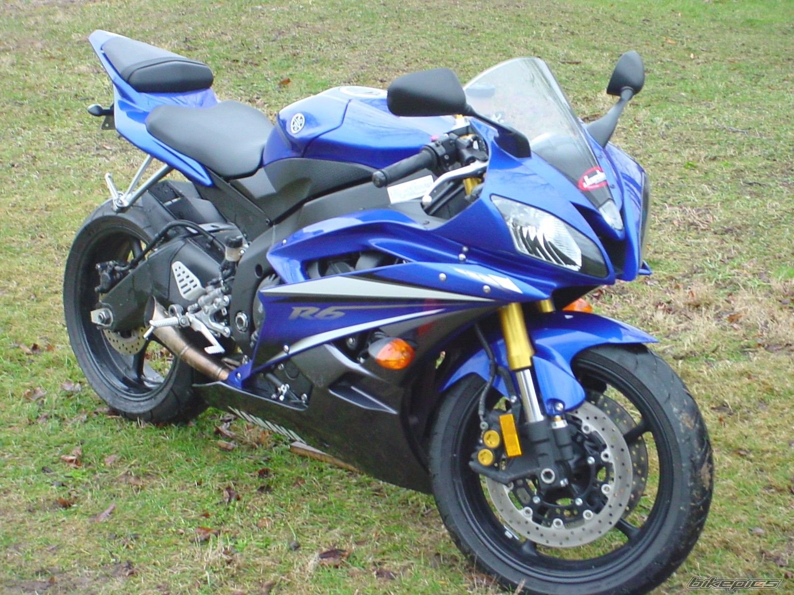 Photo 1449286