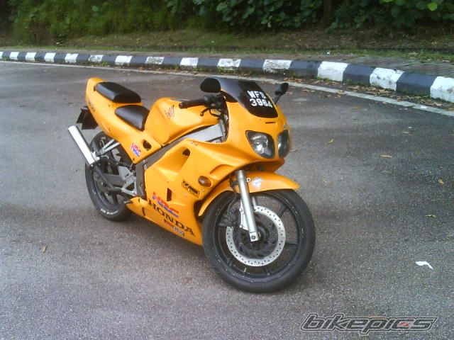 Photo 1449333
