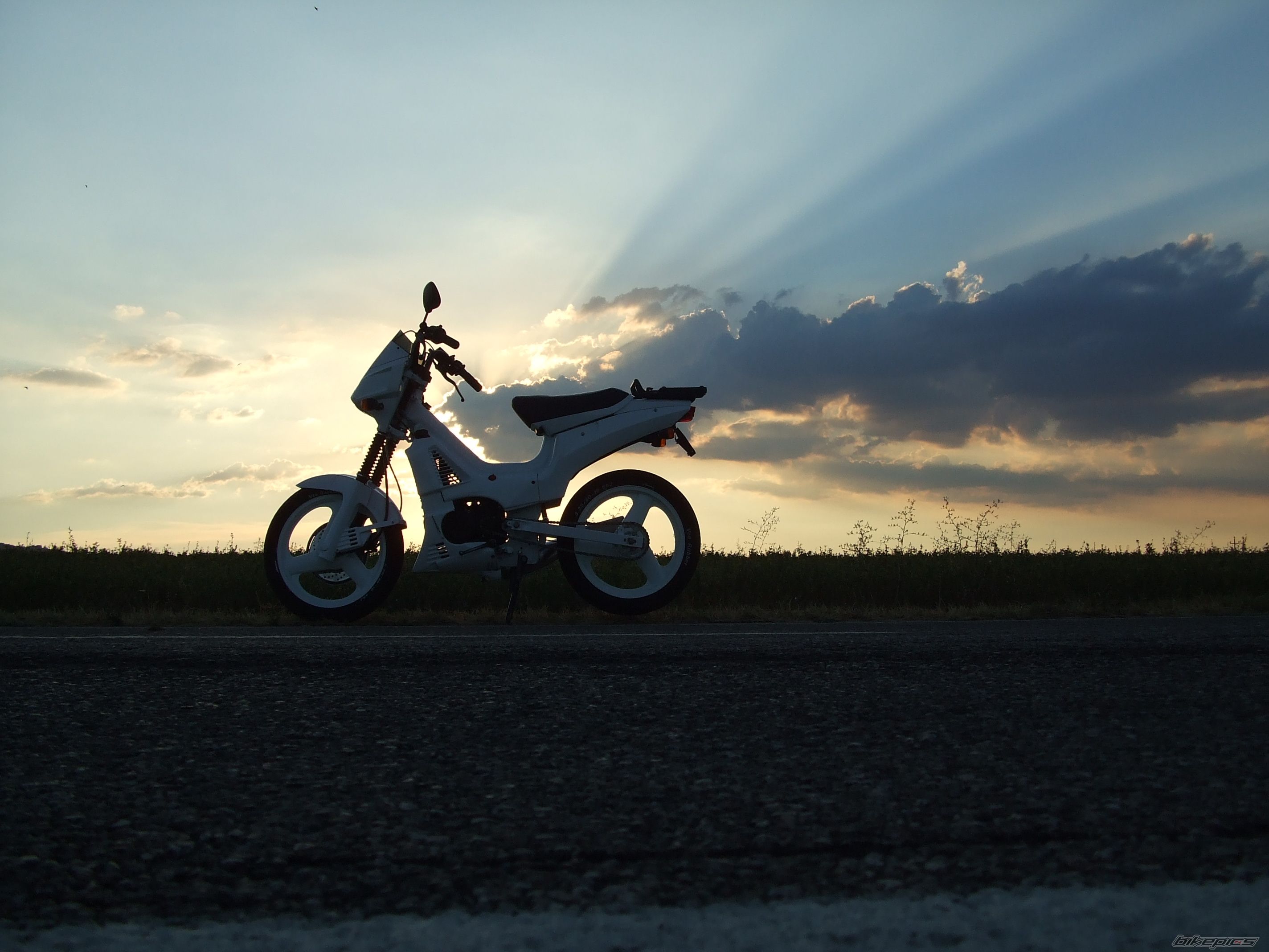 Photo 1449343