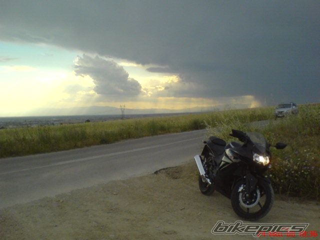 Photo 1449348