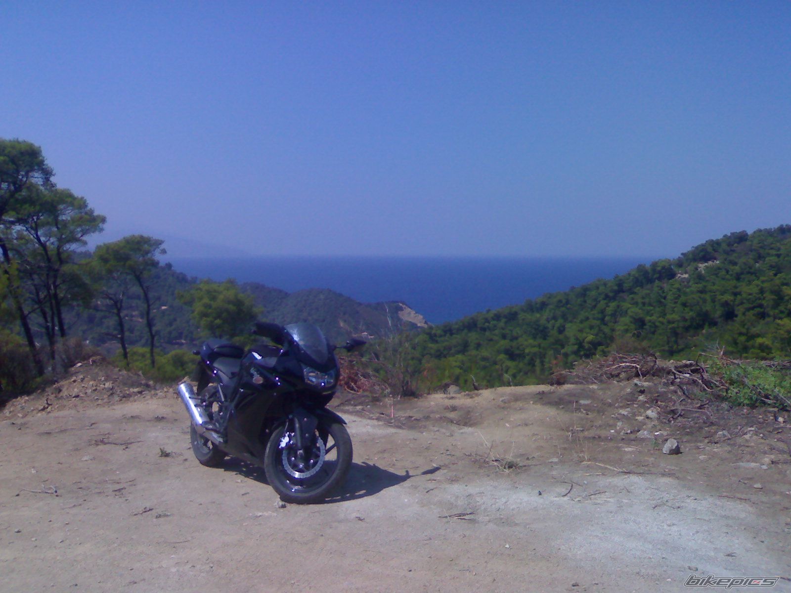 Photo 1449370