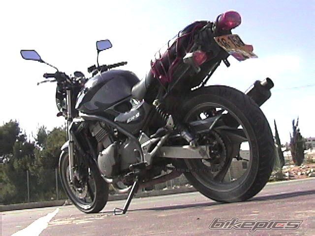 Photo 1449427