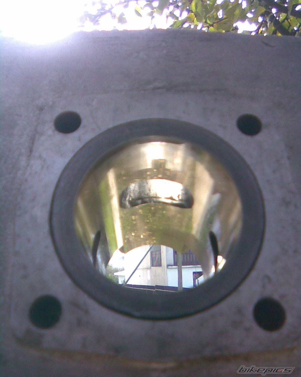 Photo 1449457
