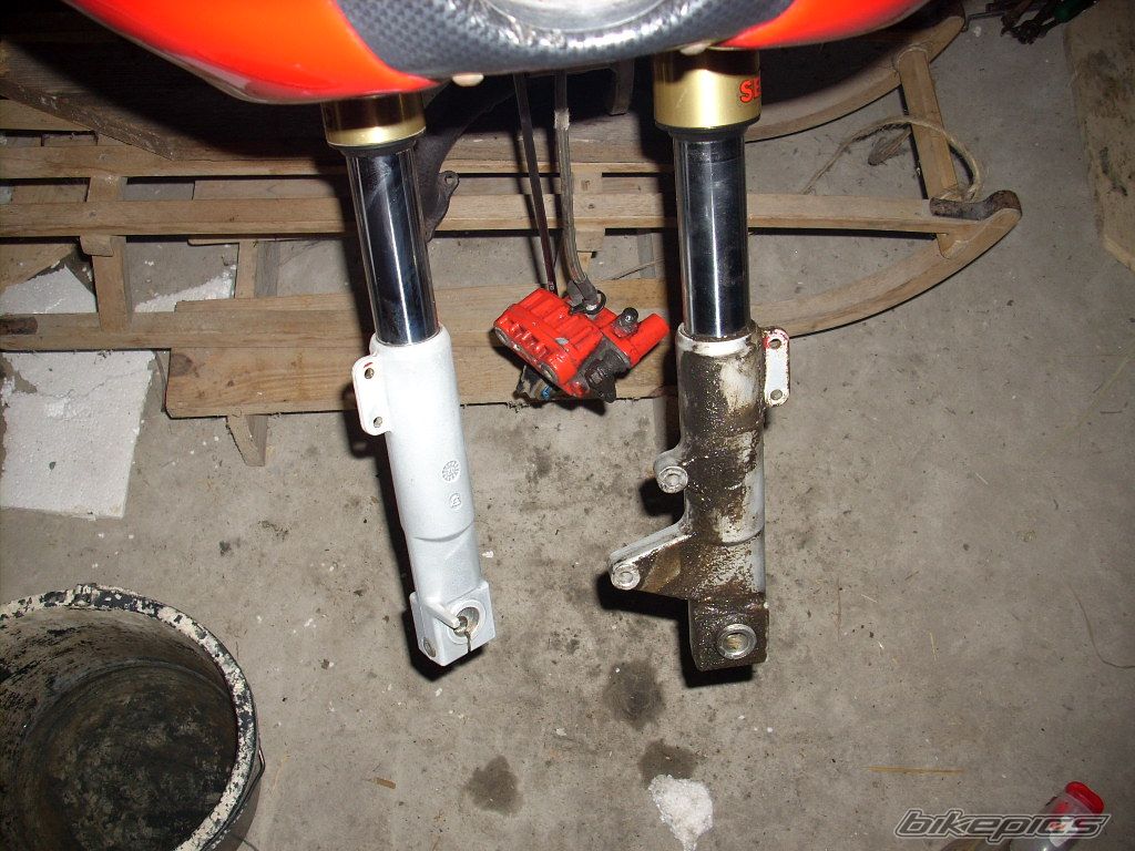 Photo 1449458