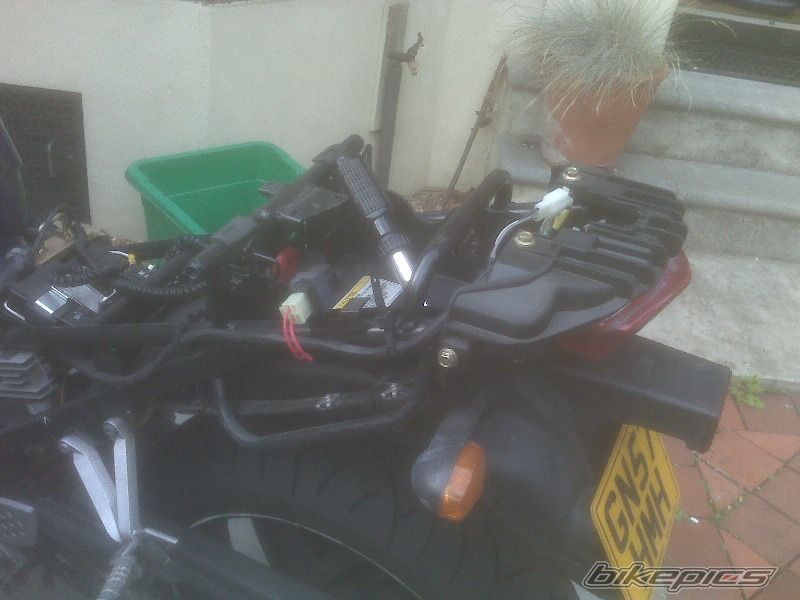 Photo 1449494