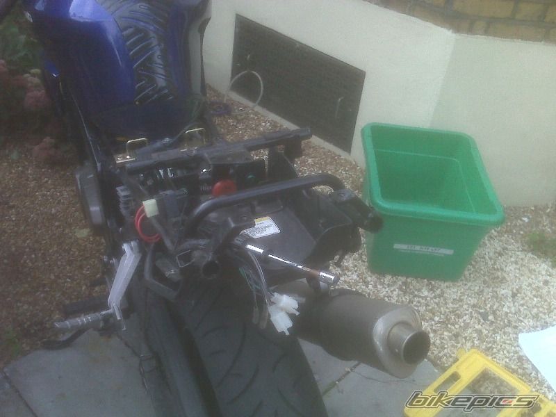 Photo 1449503