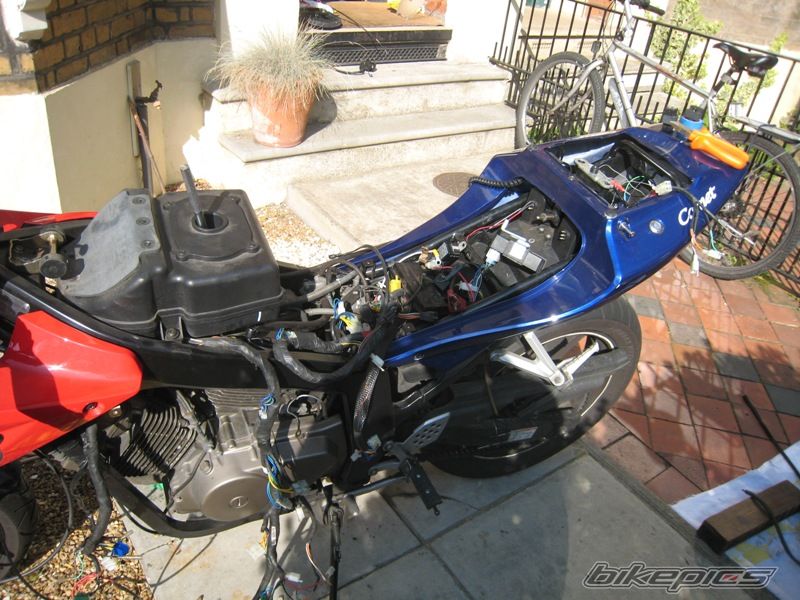 Photo 1449521