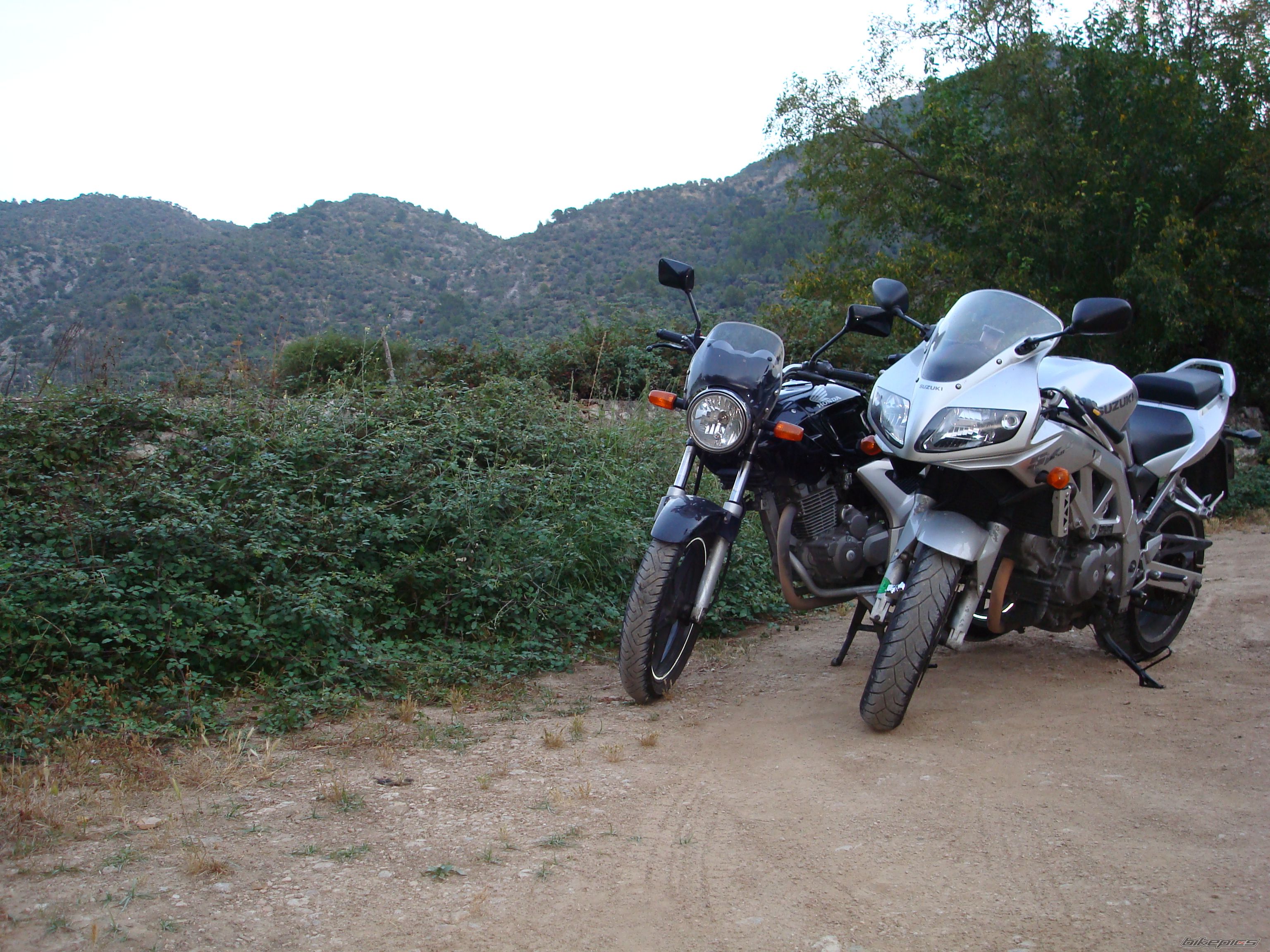 Photo 1449522
