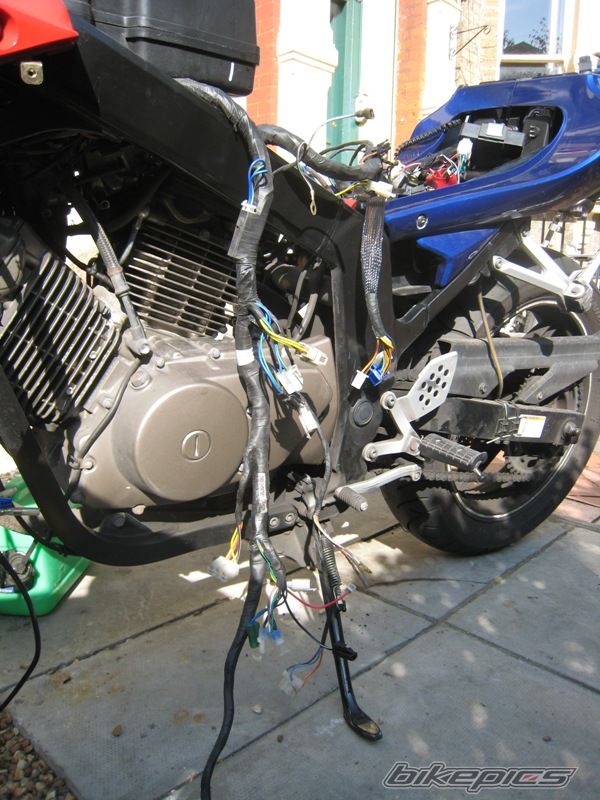 Photo 1449526