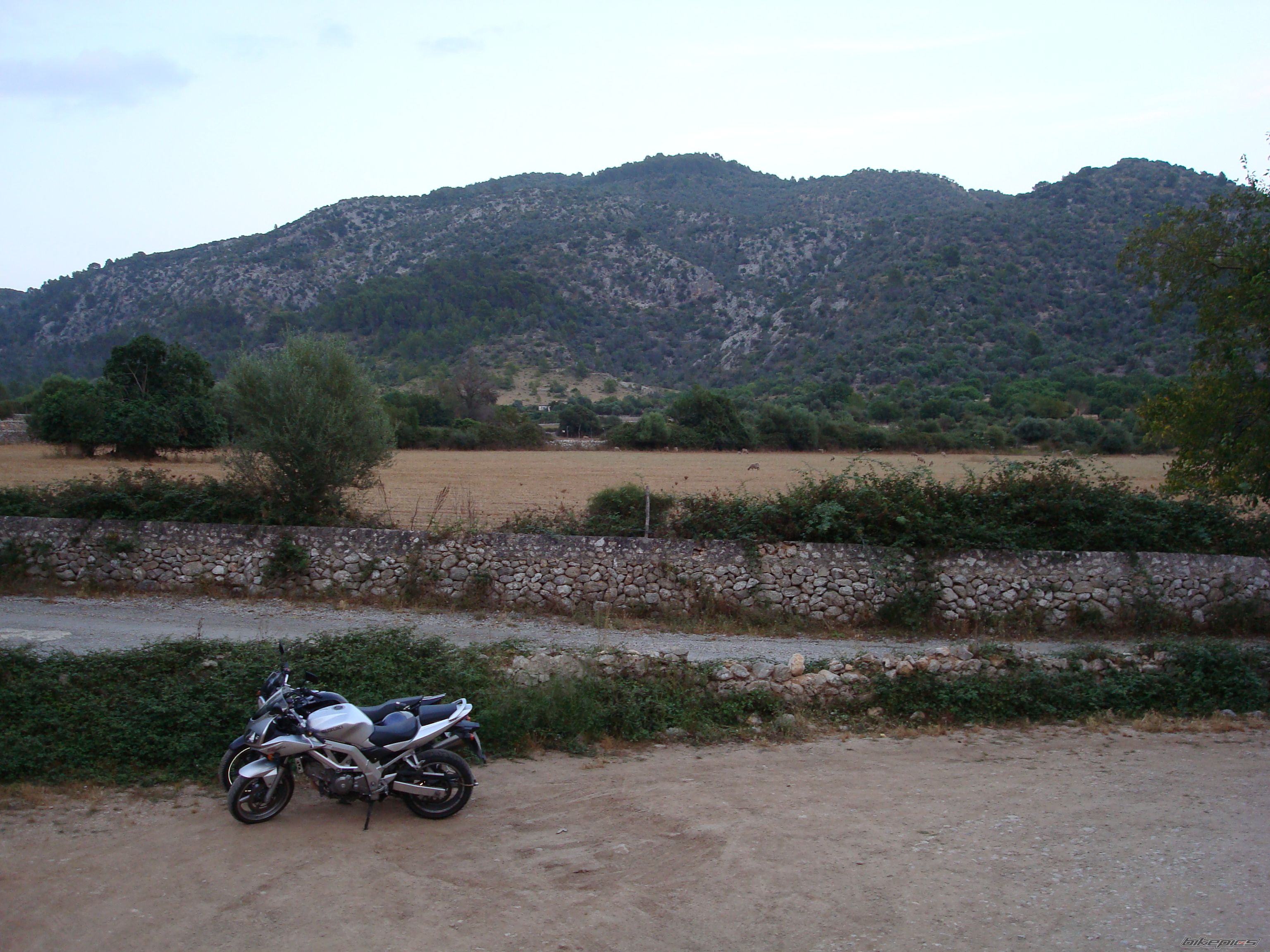 Photo 1449533