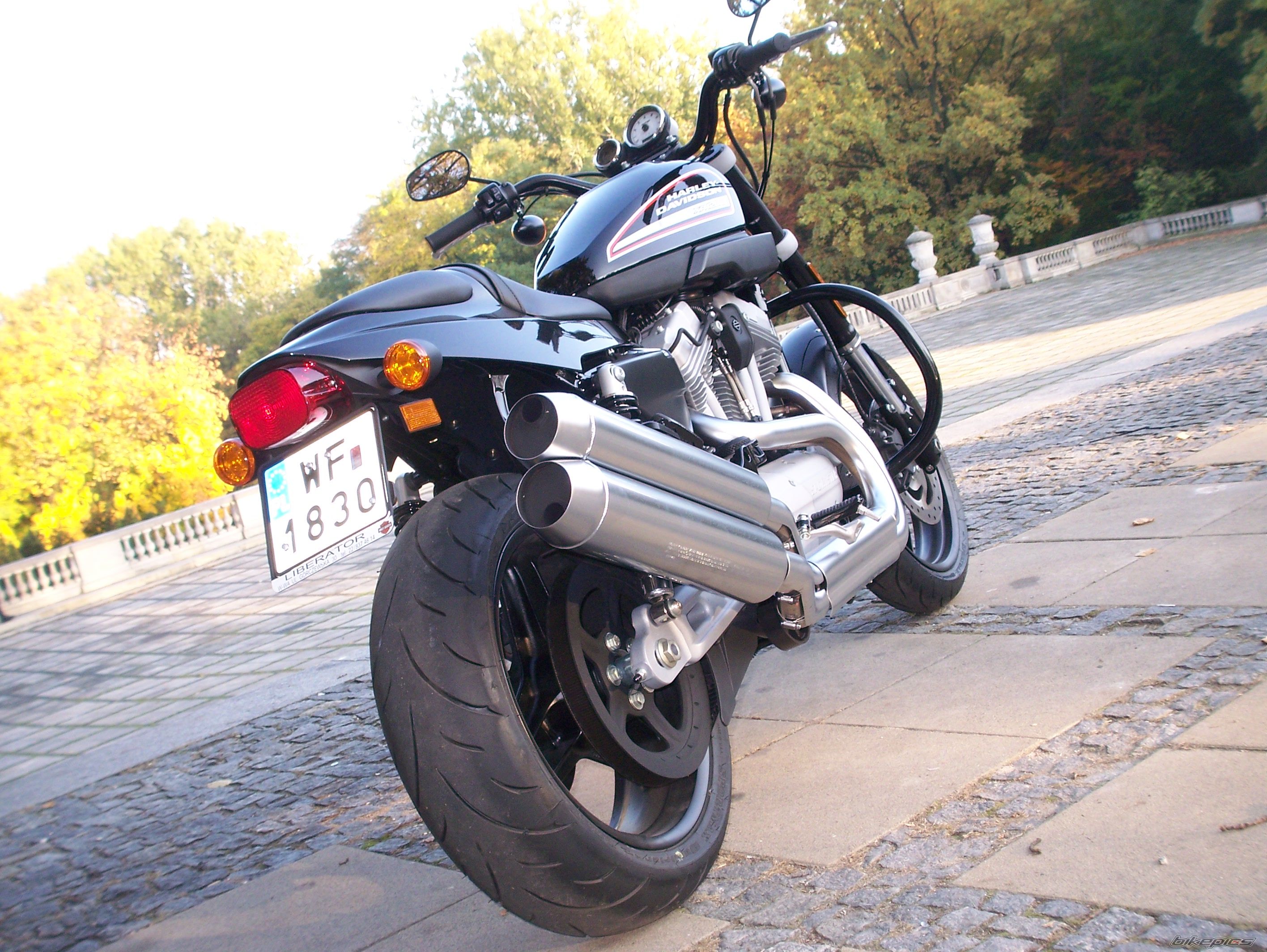 Bike Photo 1449649