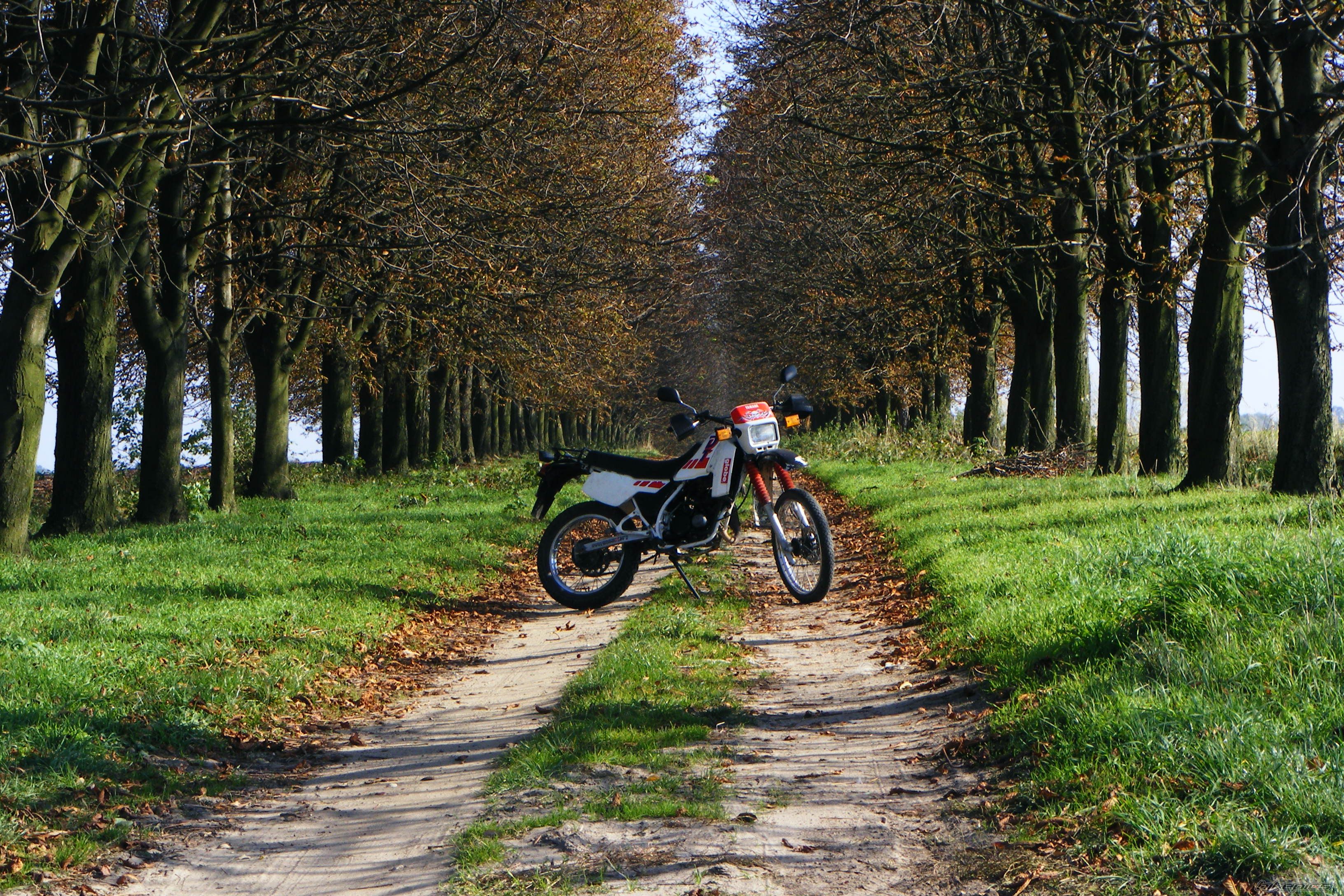Bike Photo 1449672