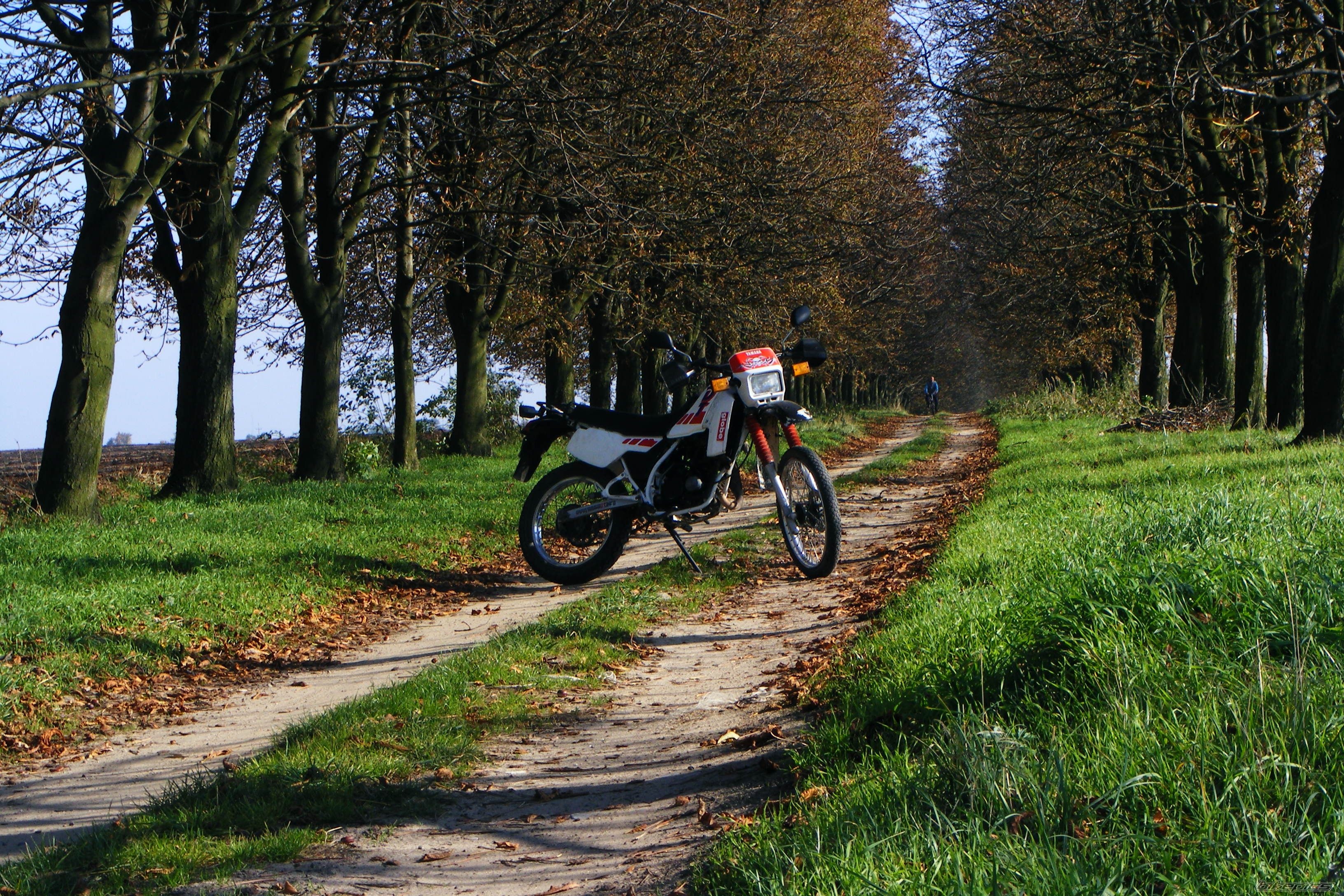 Bike Photo 1449674