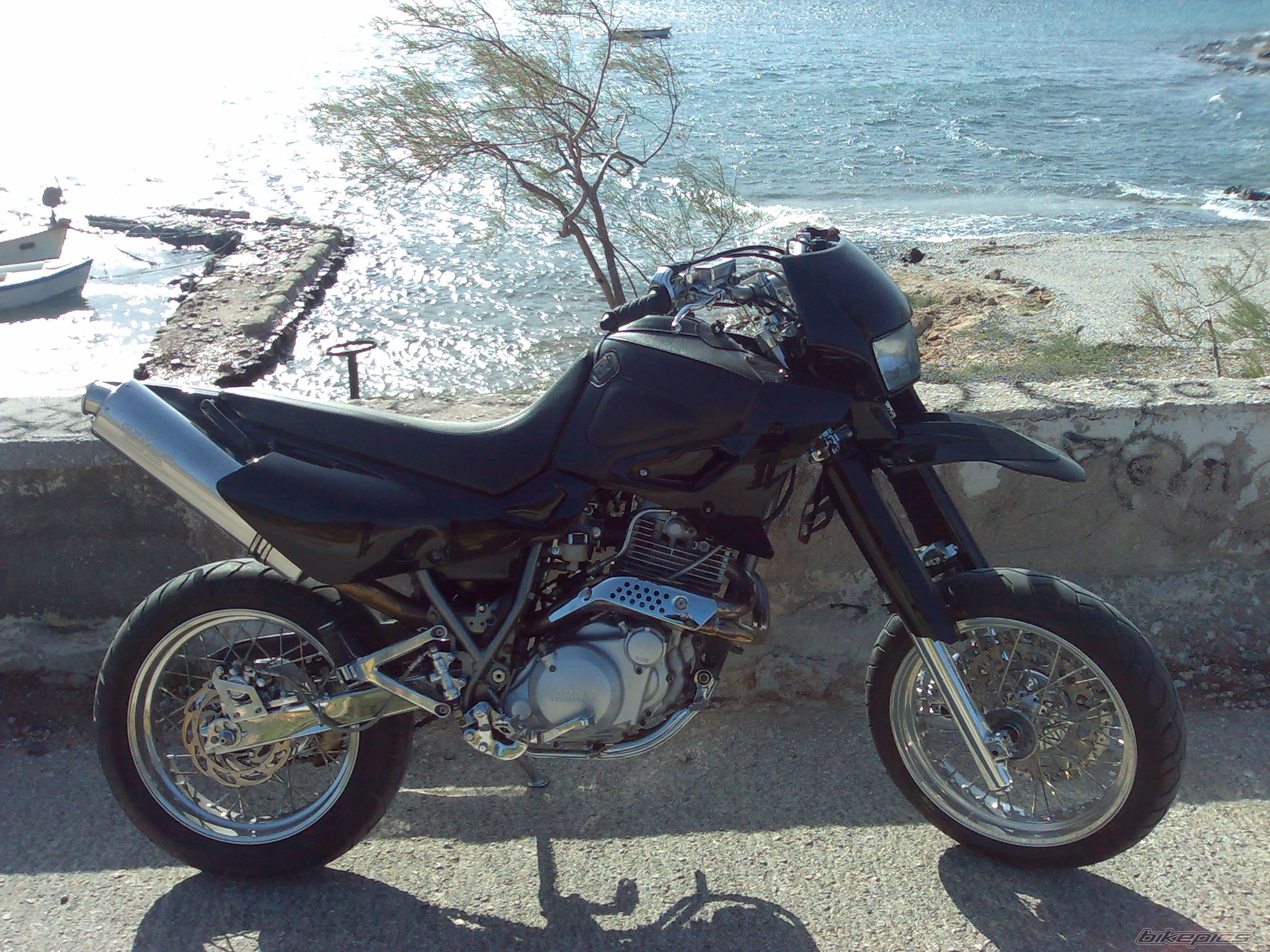 Photo 1449690