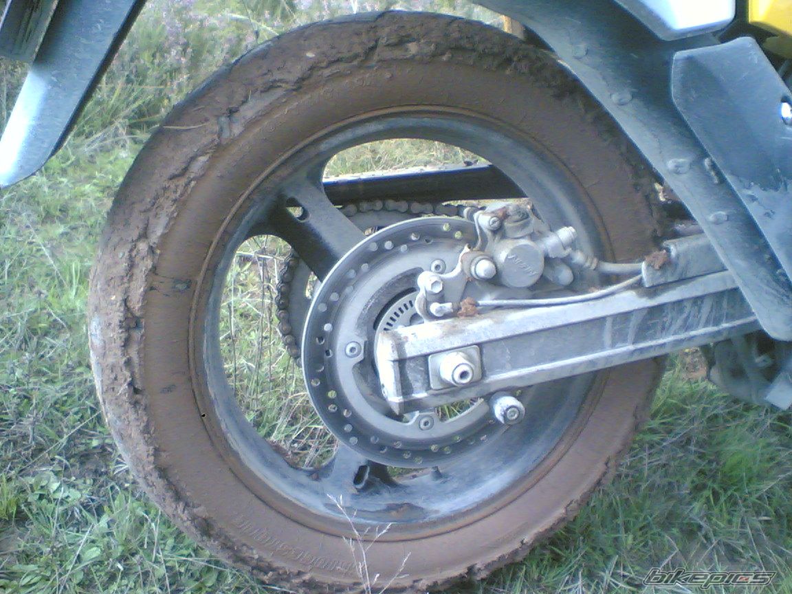 Photo 1449742