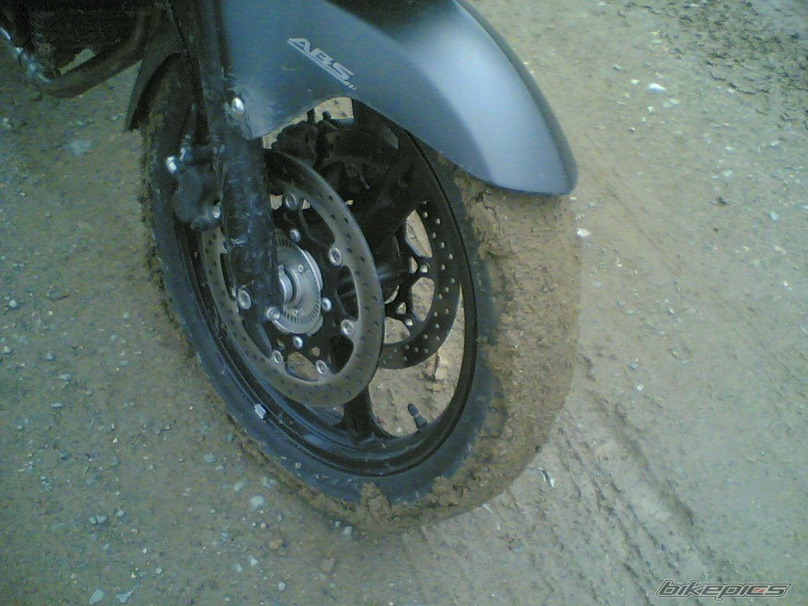 Photo 1449747