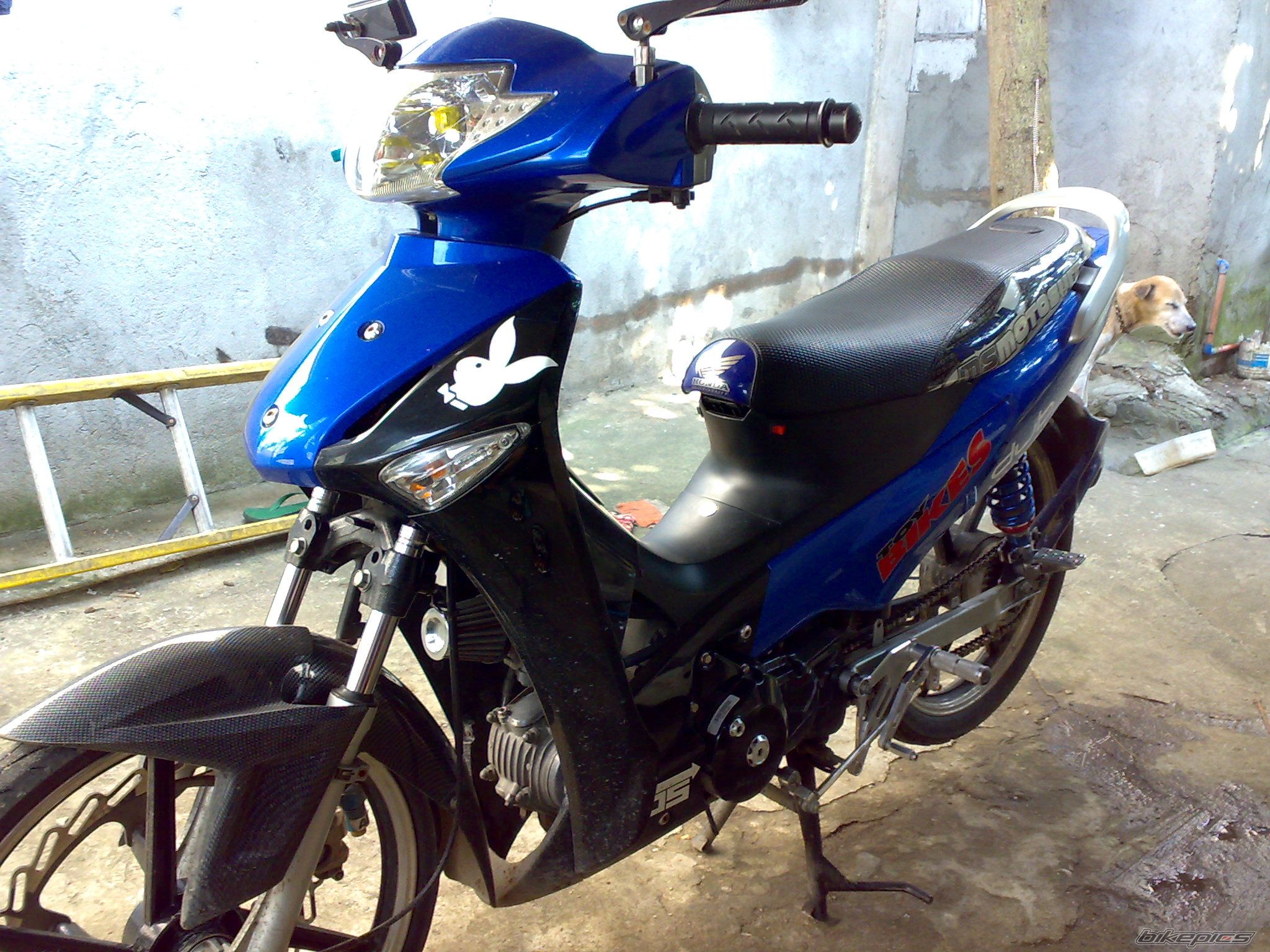 Photo 1449831