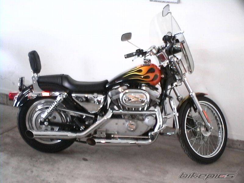 Photo 144989
