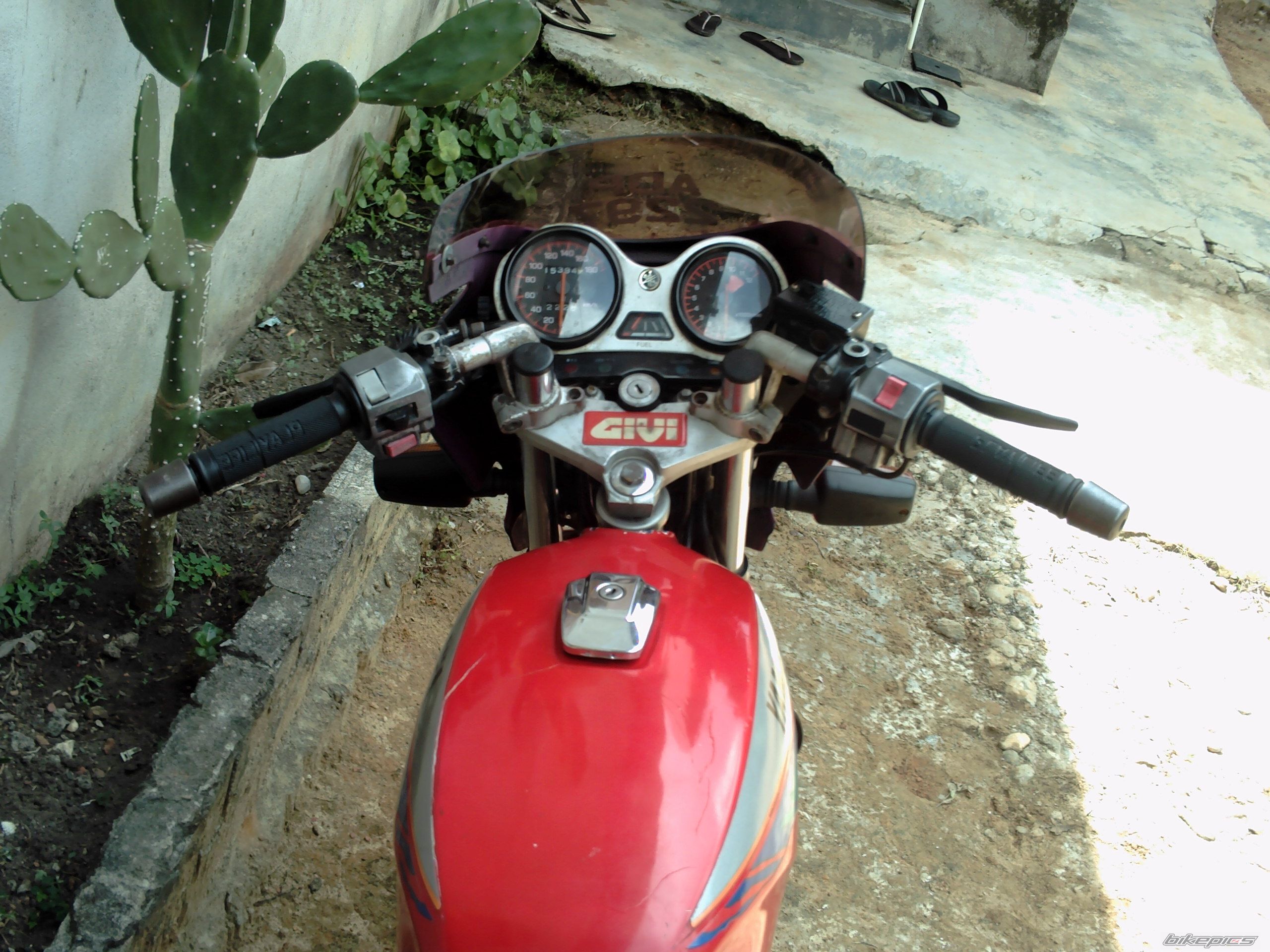 Photo 1449950