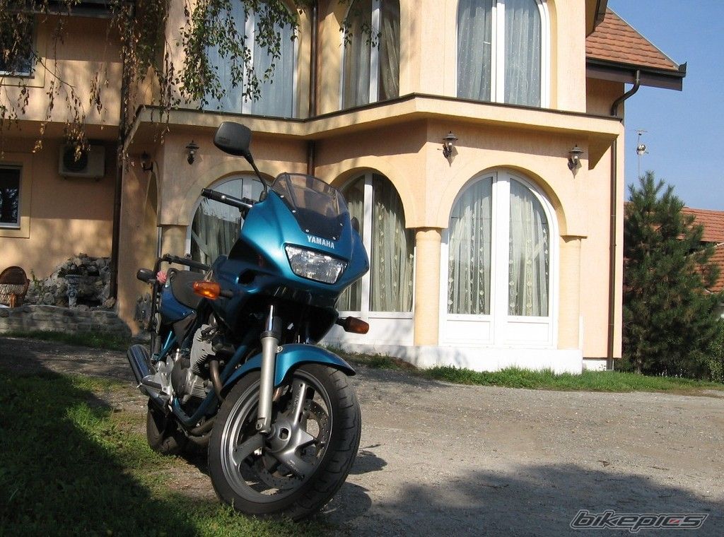 Photo 1449951