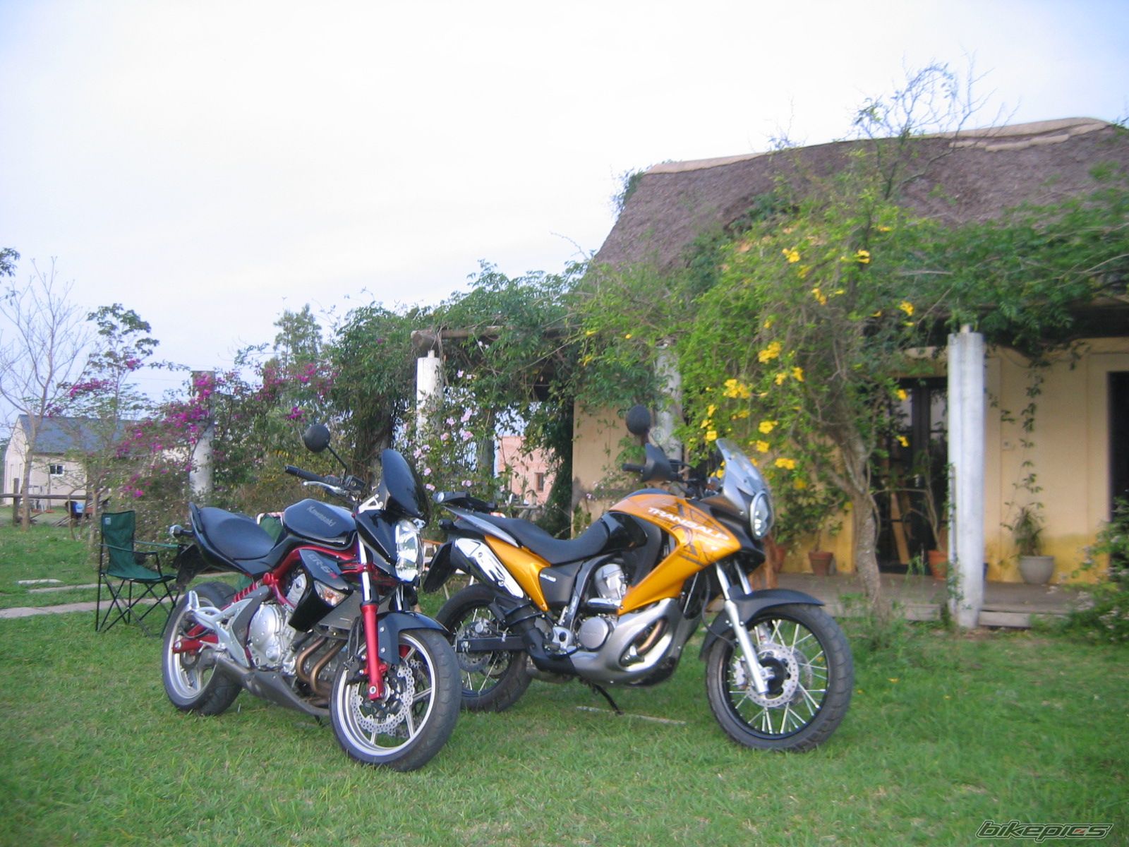 Photo 1449982
