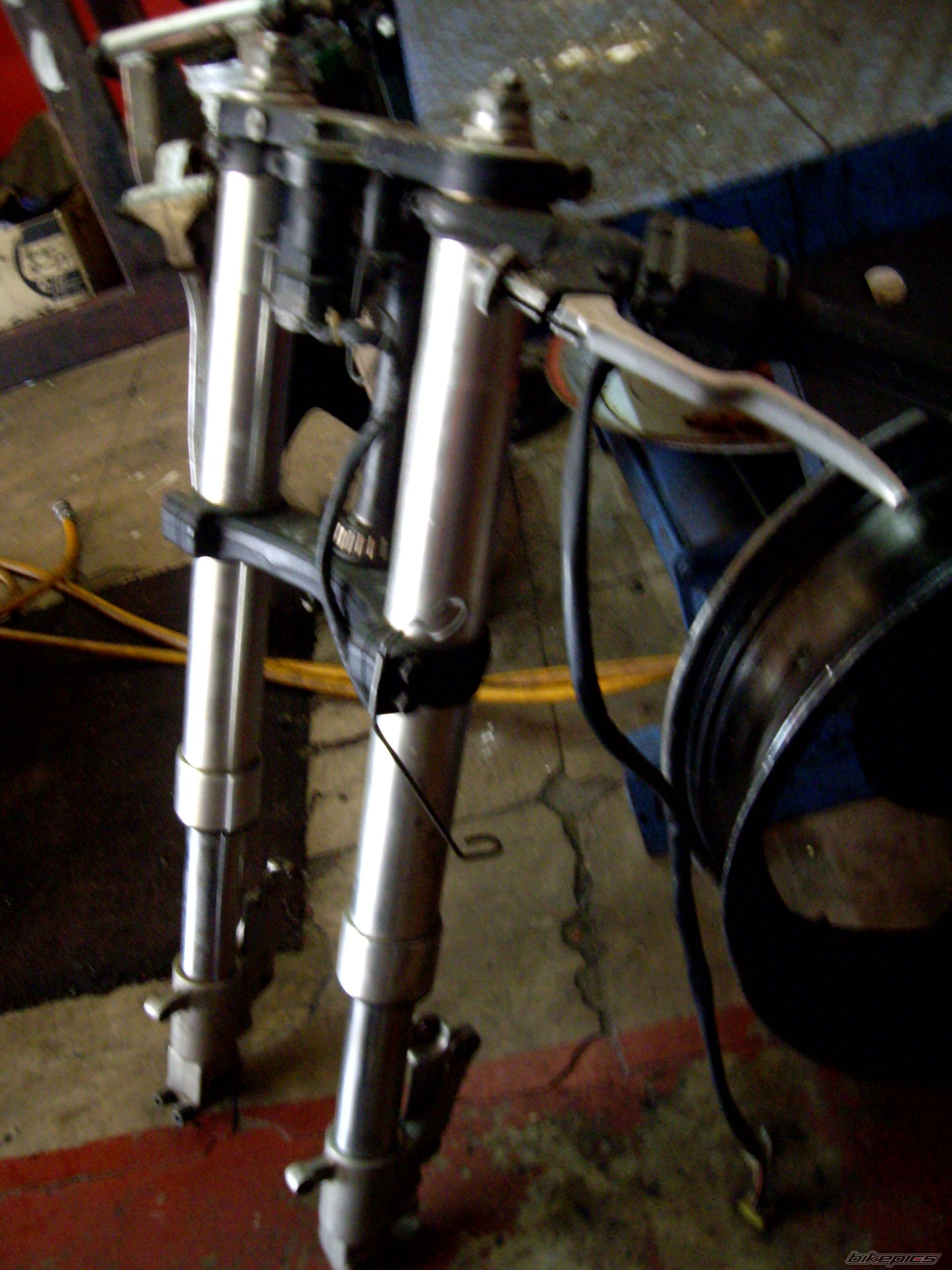 Photo 1449998