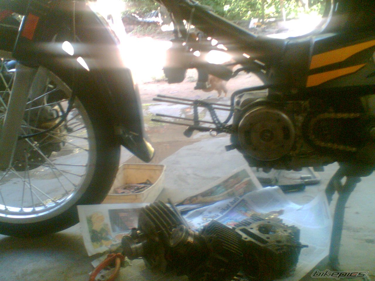 Bike Photo 1450025