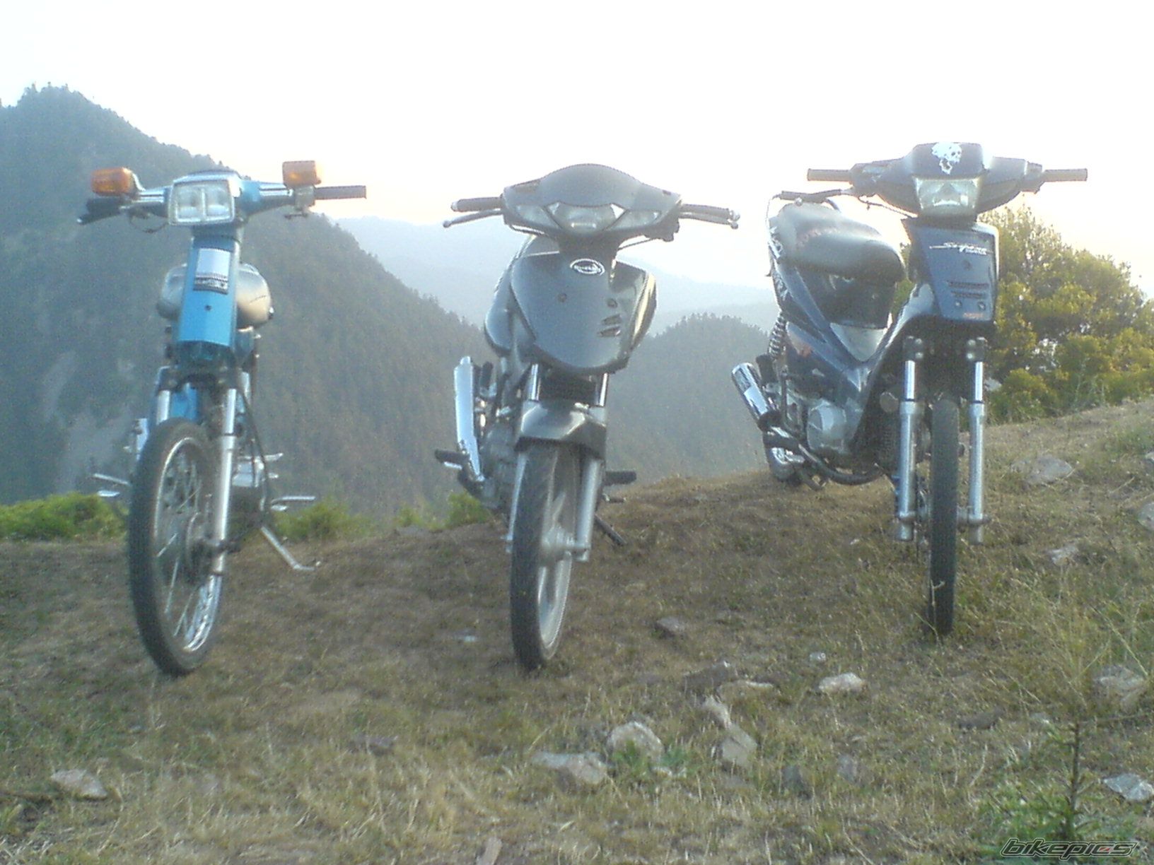 Photo 1450178