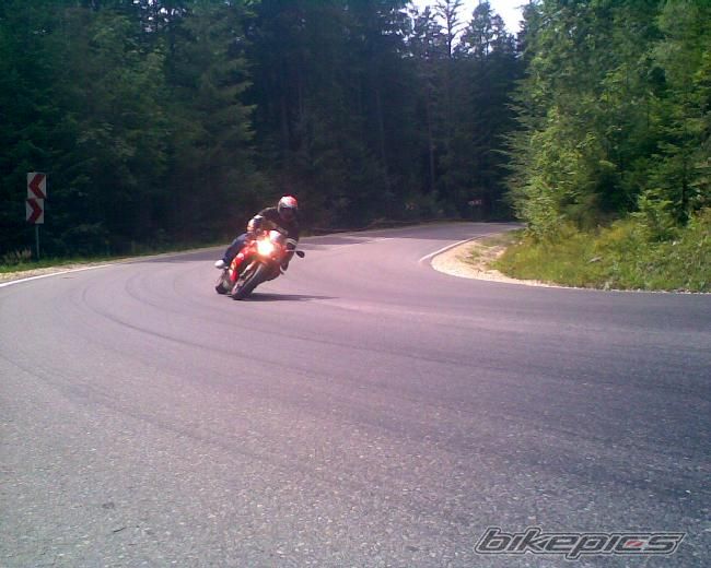 Photo 1450242