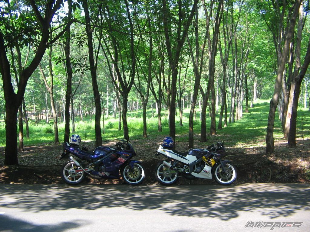 Photo 1450315