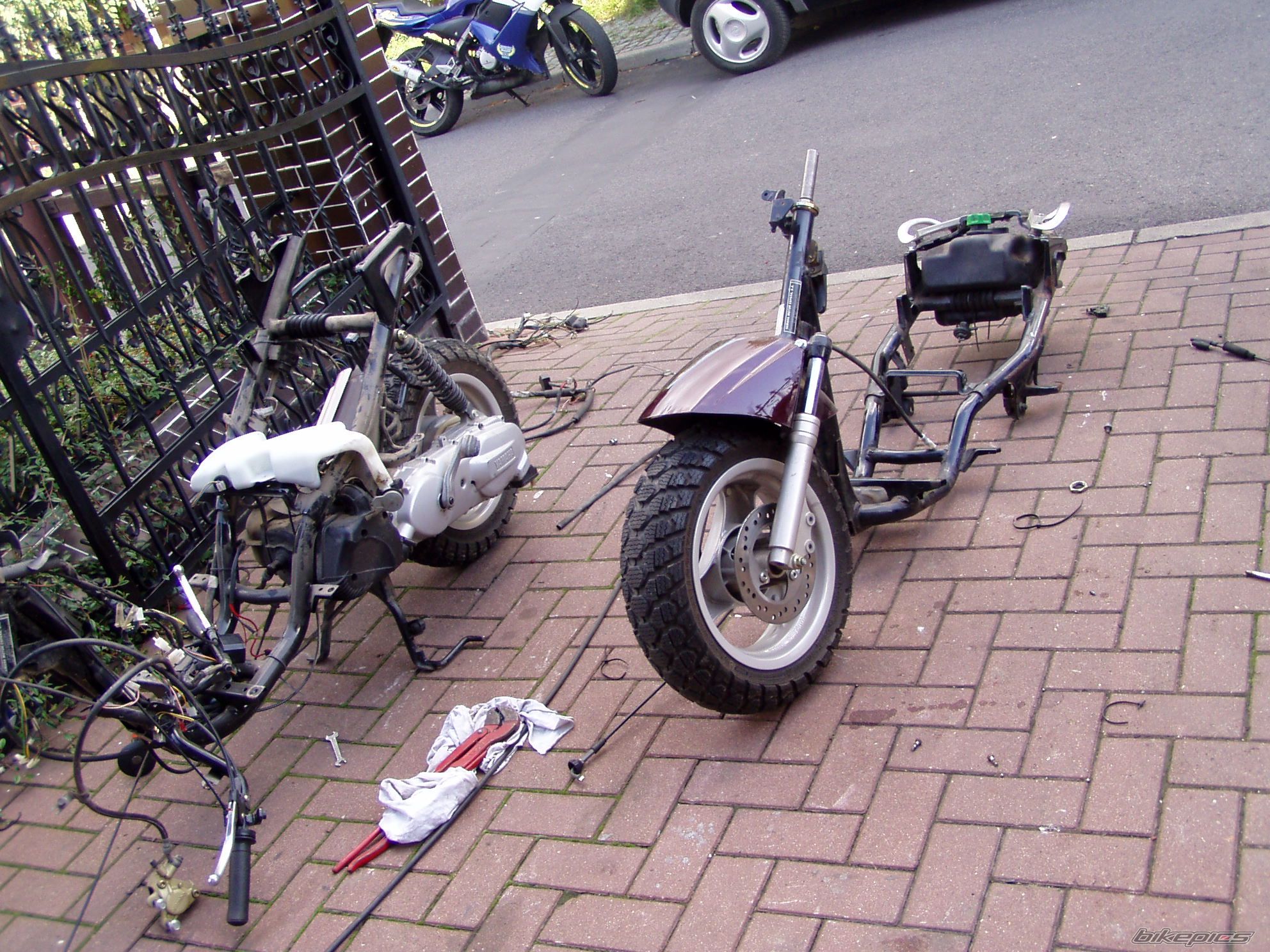 Photo 1450357