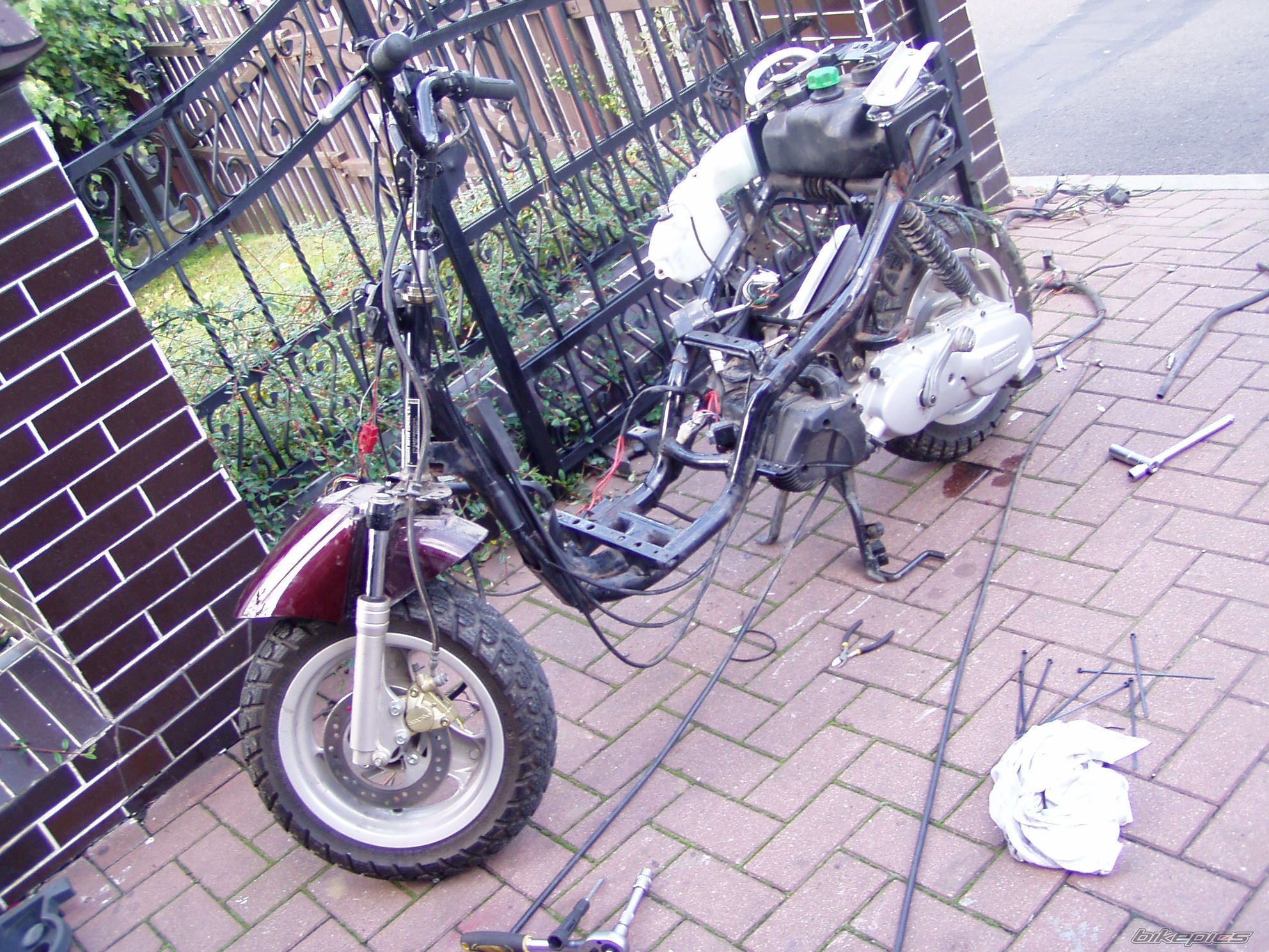 Photo 1450362