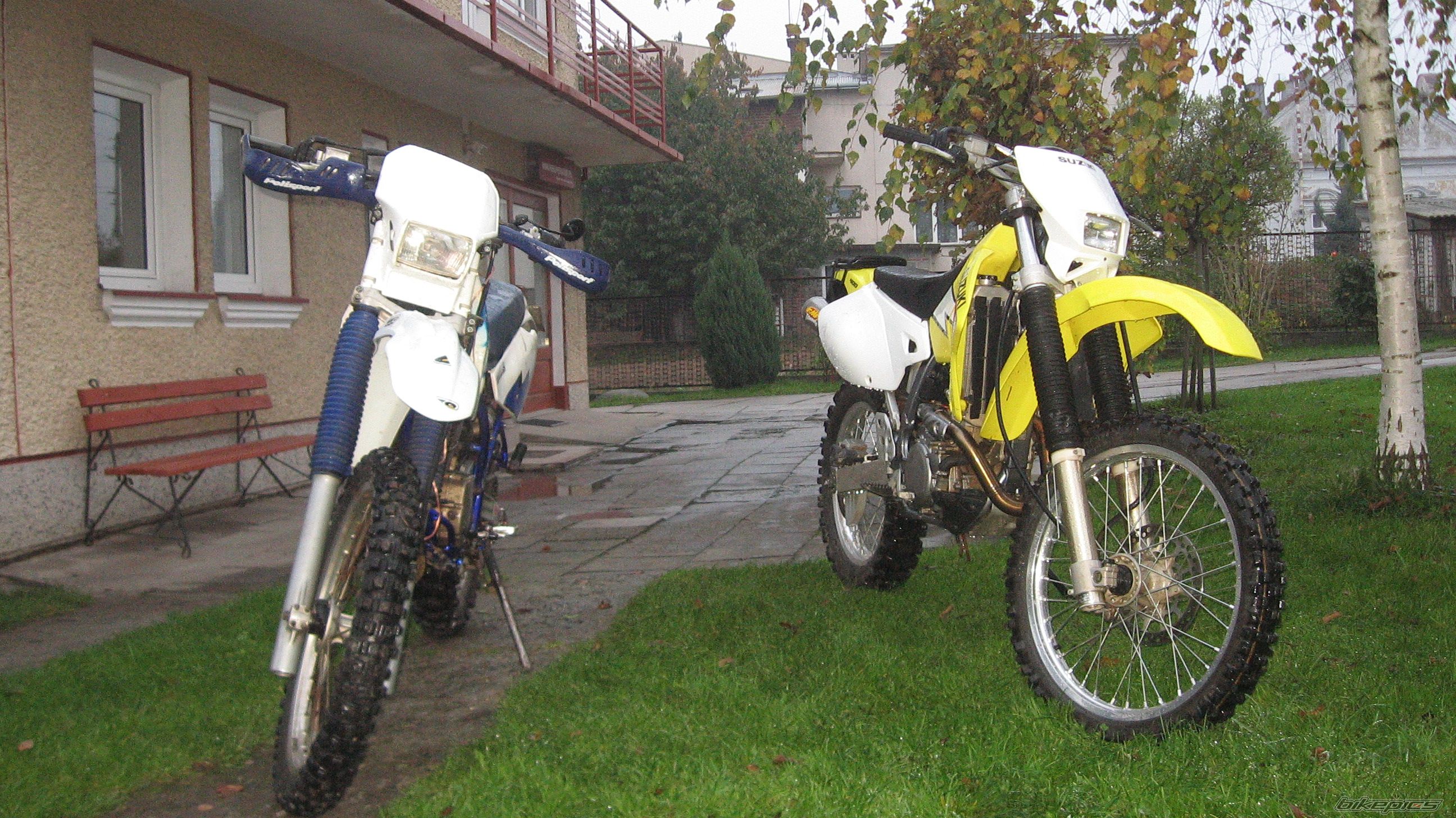 Photo 1450403