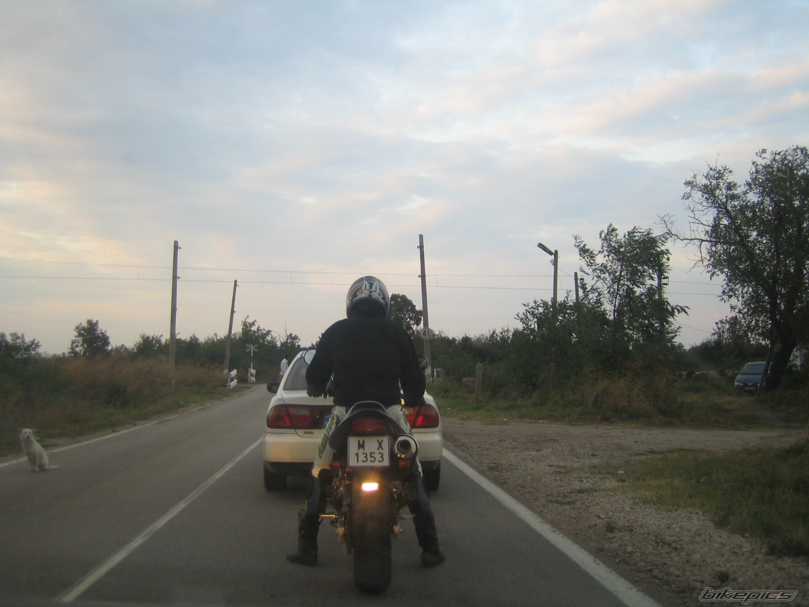Photo 1450429