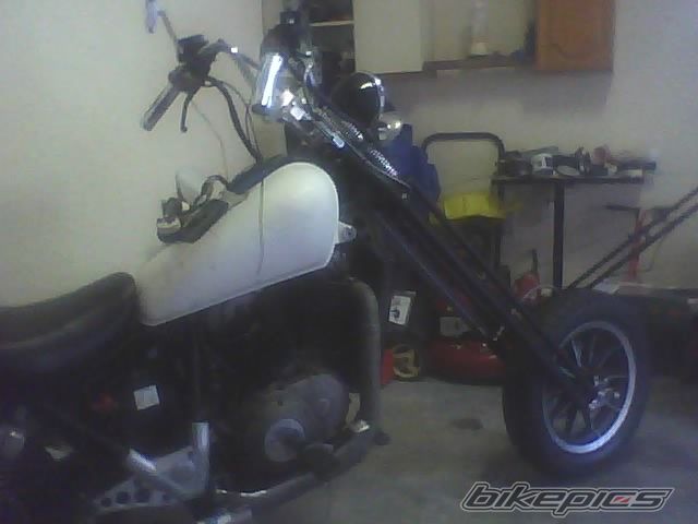 Photo 1450454