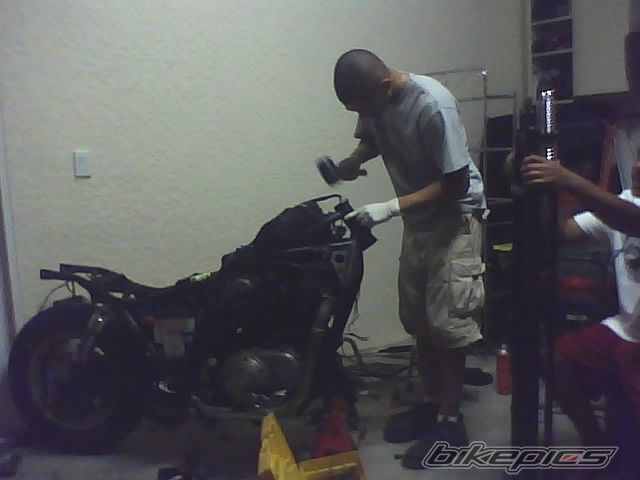 Photo 1450462