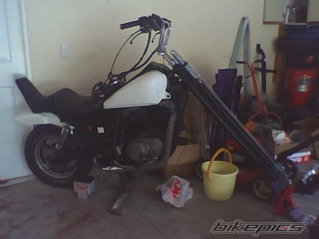 Photo 1450463