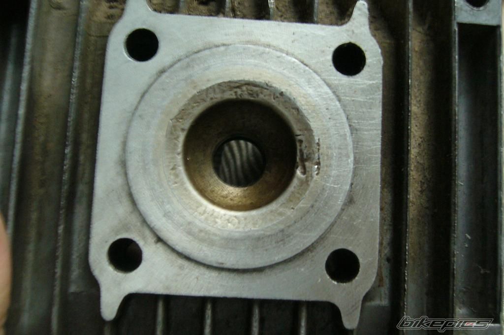 Photo 1450512